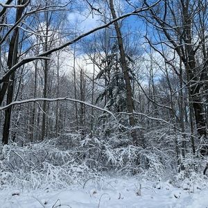 Meet your Posher, Chloe